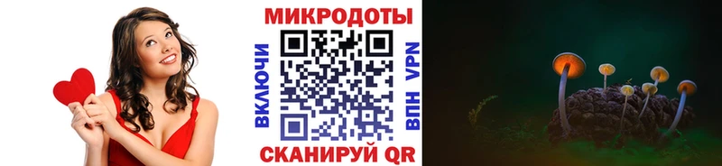 гидра вход Карасук Псилоцибиновые грибы Psilocybe